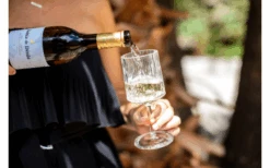 Set Di 2 Bicchieri Da Vino Berger -Berger 594239 4331207