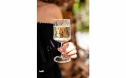 Set Di 2 Bicchieri Da Vino Berger -Berger 690069 4697631