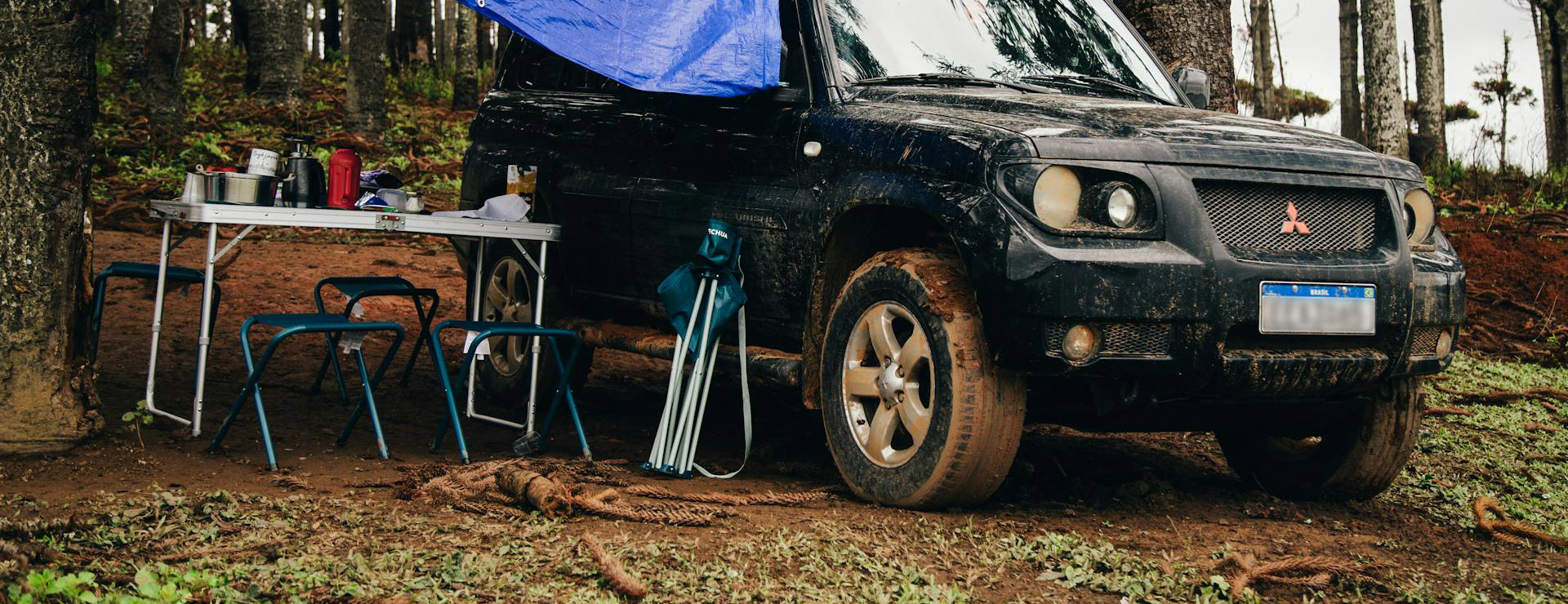 Berger 2 Berger -Berger pexels bertellifotografia 11749414